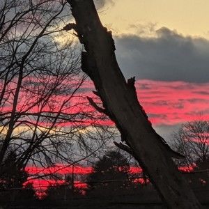 Meet your Posher, Stacey